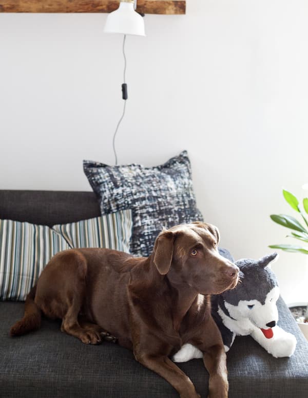 Create a cosy spot for the whole family 