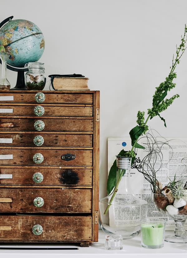 Create displays with indoor plants