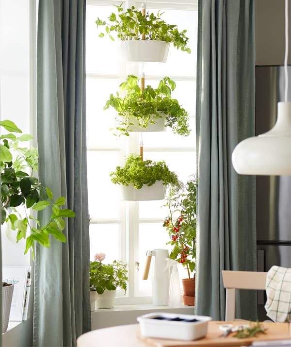 Cucina con ampie finestre, piante aromatiche sul davanzale e in un portavasi pensile a tre livelli - IKEA