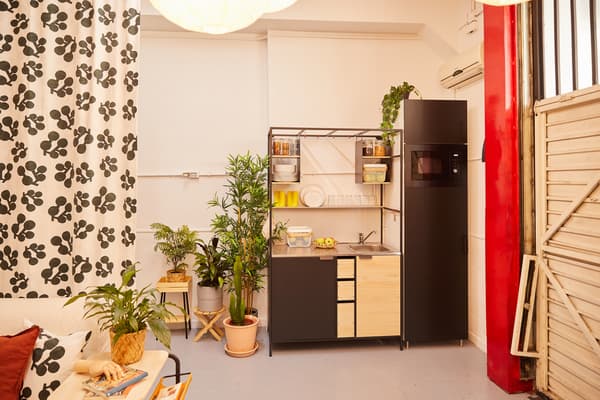 Cuina renovada amb pica, nevera, estris de cuina i plantes.