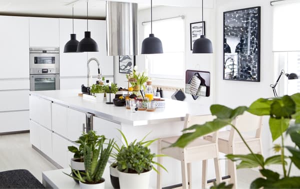 Cuisine blanche avec détails noirs et plantes vertes.