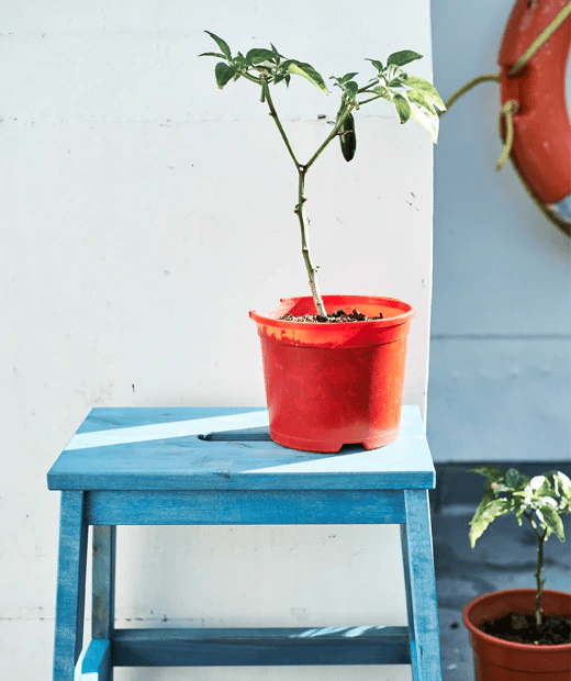 customise-the-ikea-bekvaem-step-stool-with-paint