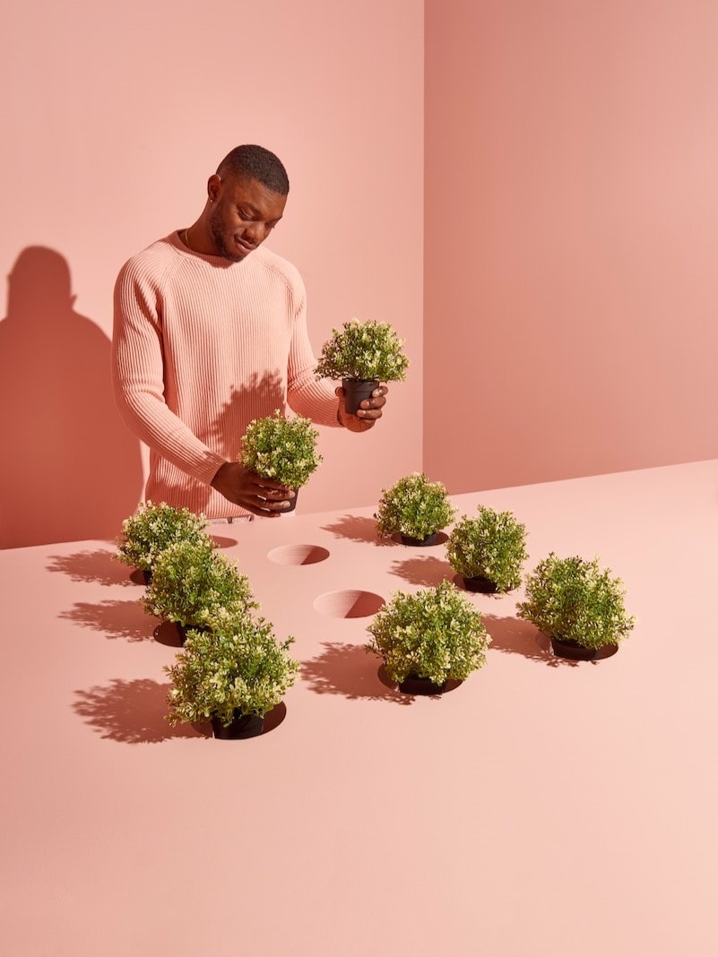 człowiek z roślinkami w doniczkach