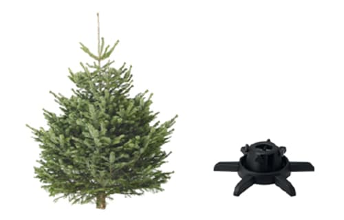 イケアのクリスマスを楽しもう 本物のモミの木や限定フードメニューなどが登場 Ikea 公式 Ikea イケアのクリスマスを楽しもう 本物のモミの木や限定フードメニューなどが登場 Ikea 公式 Ikea