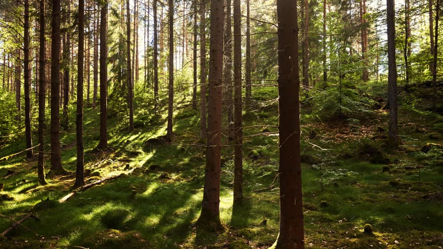 da5b4cfe4545d8a5b18ae41d03029a