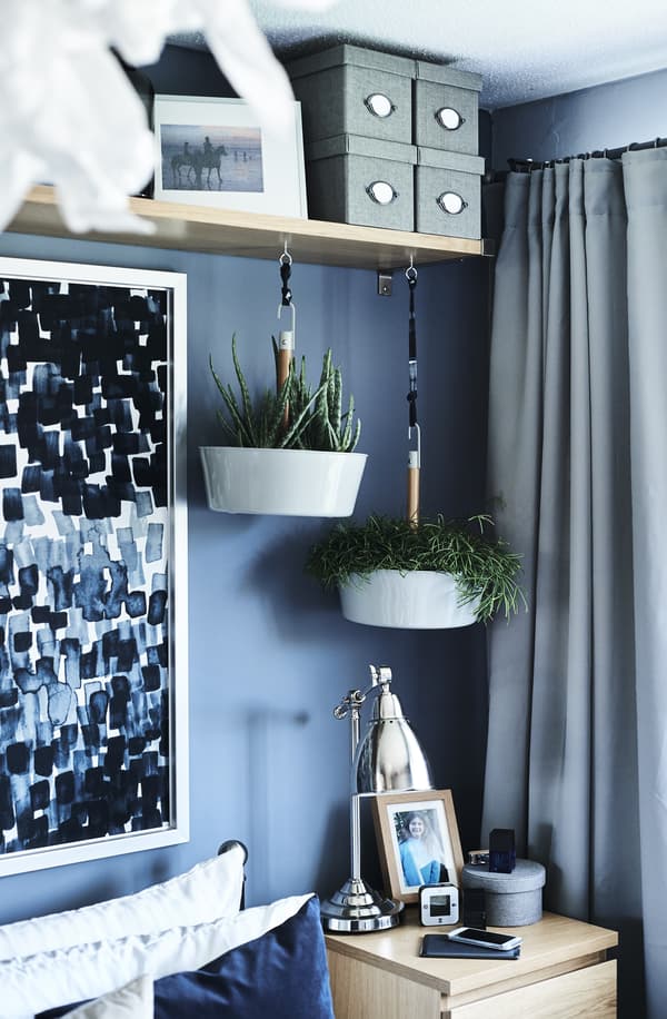 Dark blue bedroom wall with high shelf and two hanging plants containers