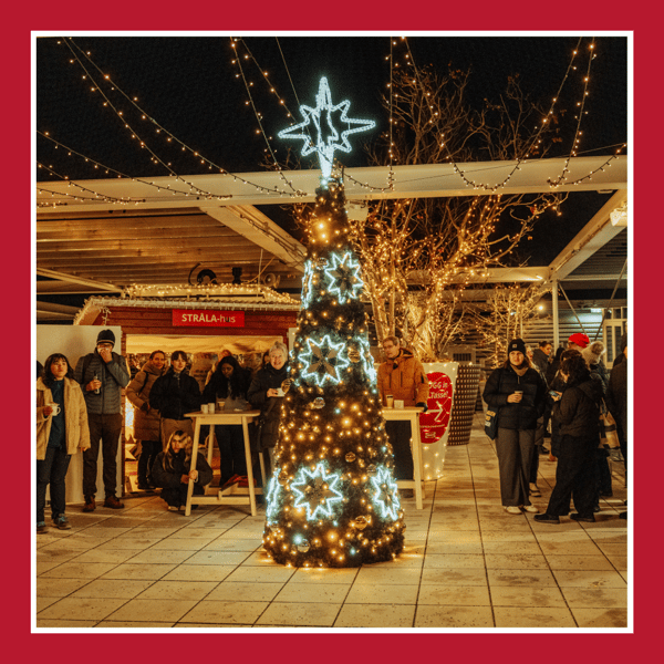 Das Bild zeigt den Weihnachtsbaum auf unserer Dachterrasse.