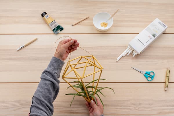 Das fertige Himmli bietet Platz für eine kleine Luftpflanze.