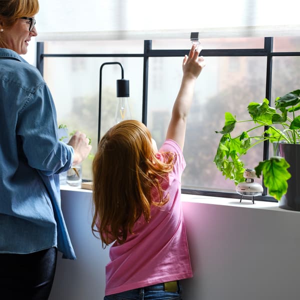 Davanti a una finestra, un adulto guarda un bambino con una maglietta rosa allungare un braccio verso la maniglia di una tenda a rullo SANDVEDEL beige - IKEA.