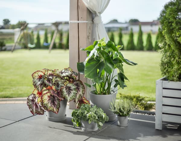 De SMULGUBBE betonnen plantenpot in een buitenruimte.