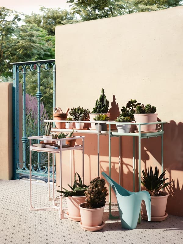 decorar a terraza con plantas