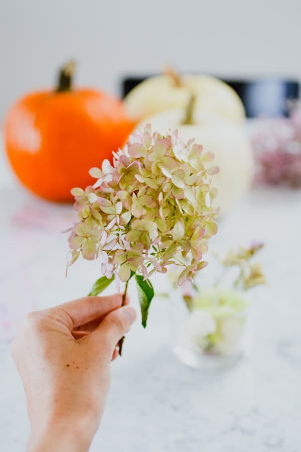 Decorative dried flowers