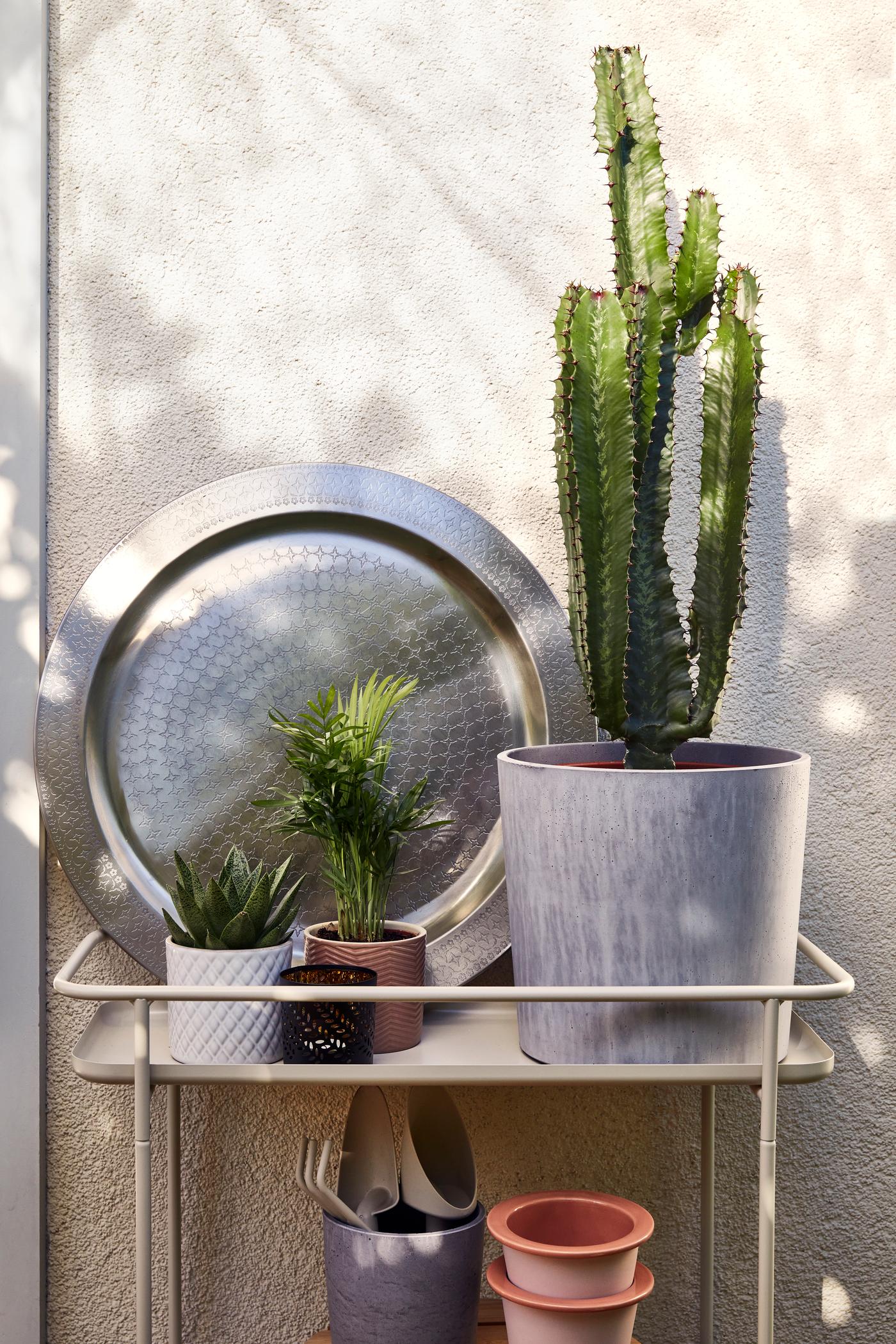 Decorazione vegetale in stile deserto