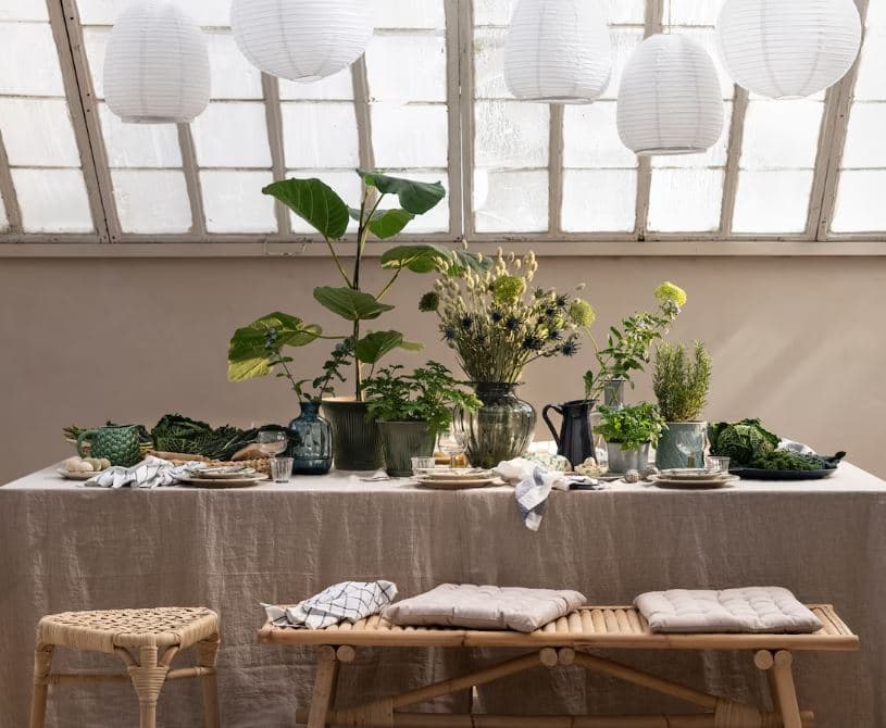 Decore a casa com plantas de interior
