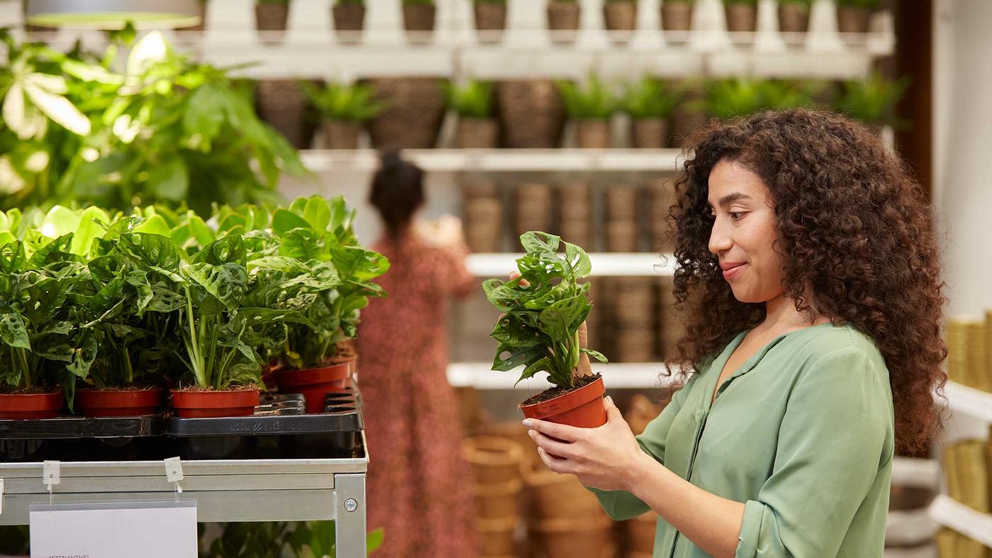 Toutes les offres IKEA Family