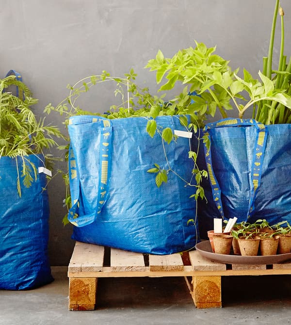 Des sacs de tri FRAKTA remplis de plantes, placés sur une palette en bois ouverte, posée sur un sol en béton.
