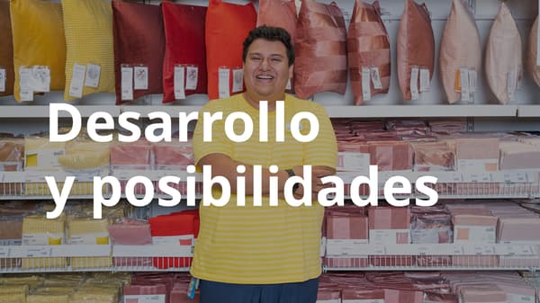 desarrollo_posibilidades