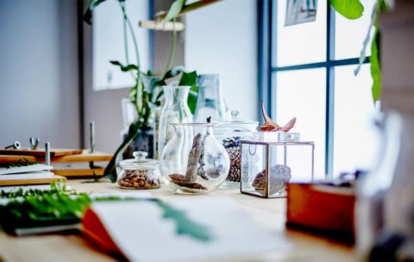 Desk in front of a brightly lit window with glass containers on it filled with plants and pinecones