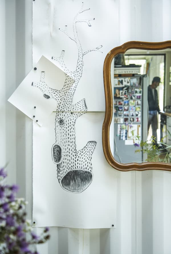 Dessin d’un arbre et miroir.