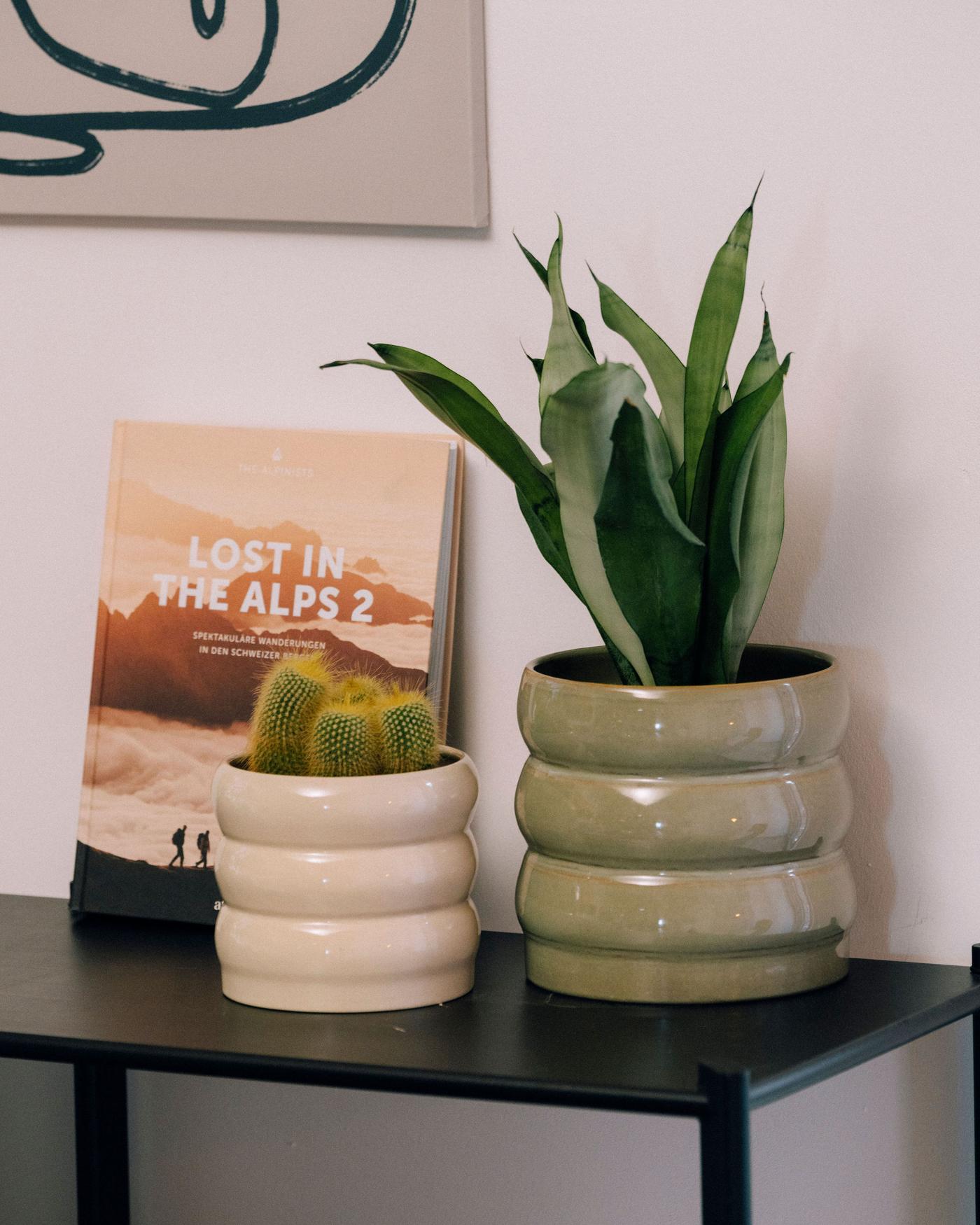 Detailansicht von einem Beistelltisch mit zwei runden Blumentöpfen mit einem Kaktus und einem Bogenhanf. 