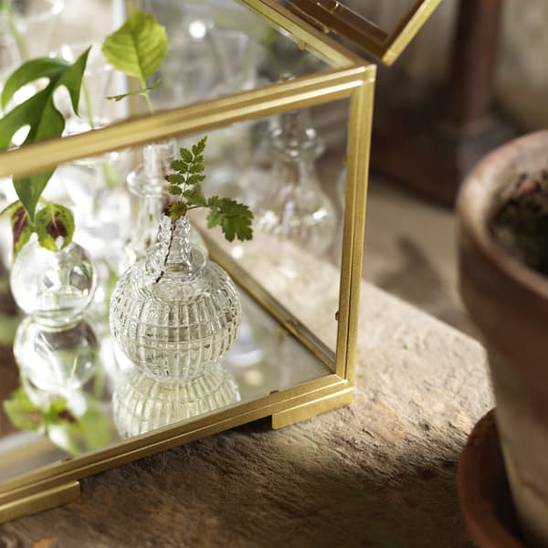 Detalle de la vitrina BOMARKEN de vidrio y acero dorado, con pequeños jarrones con brotes.