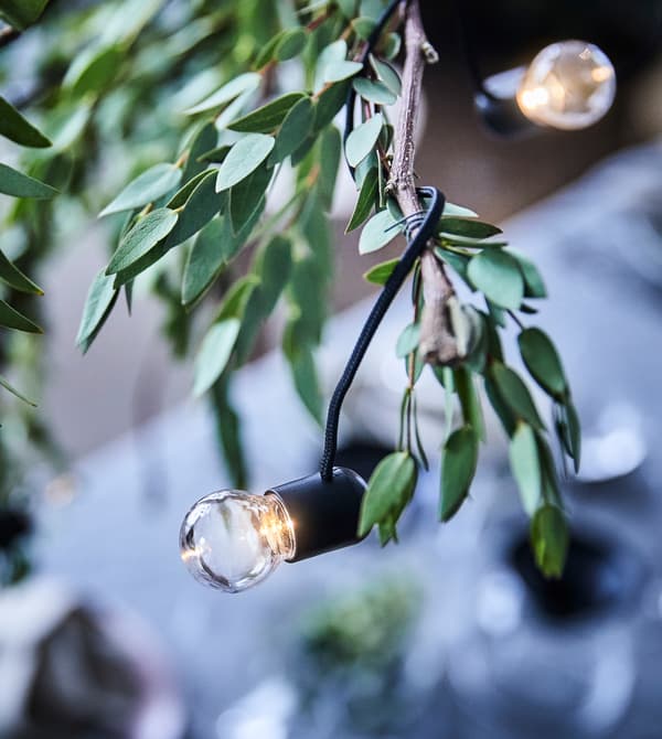 Detalle de rama seca con eucalipto e decorada cunha grilanda luminosa de LED.
