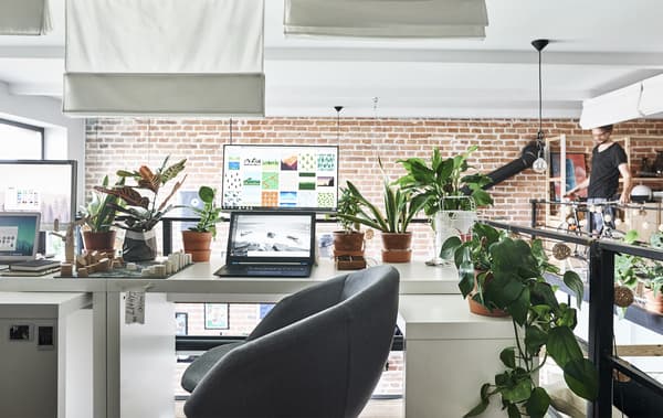 Deux bureaux côte à côte, décorés de plantes.