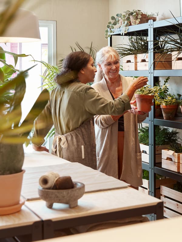Deux femmes admirant une plante en pot parmi d’autres remplissant deux étagères, dans une jardinerie.