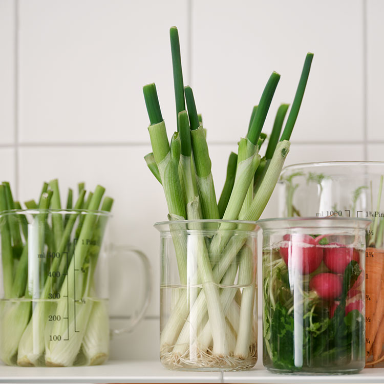 Die Reste von verschiedenem Gemüse steht in Glasbehältern auf einem Regal.