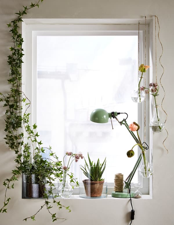 Different fresh cut flowers and green plants in VILJESTARK vases, giving the window a green and light setting.