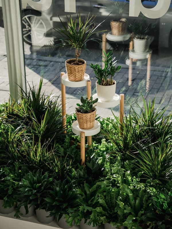 Différentes plantes sont posées sur un piédestal SATSUMAS près d’une fenêtre. Plusieurs plantes et cache-pots se trouvent à côté du piédestal.