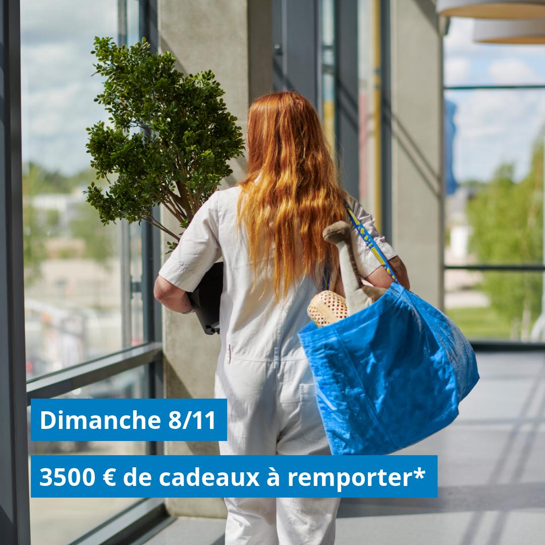 Dimanche 8/11