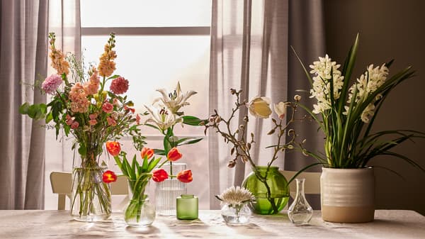 Divers arrangements floraux dans des vases en verre vert et en verre transparent et un vase en grès blanc cassé sur une table près d’une fenêtre.