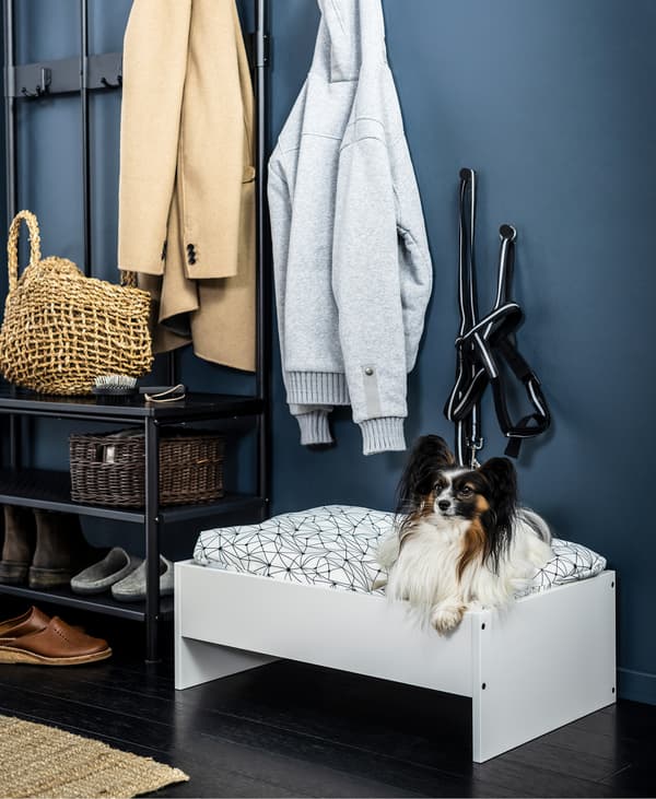 Dog in a white pet bed placed next to a shoe shelf in a hallway.
