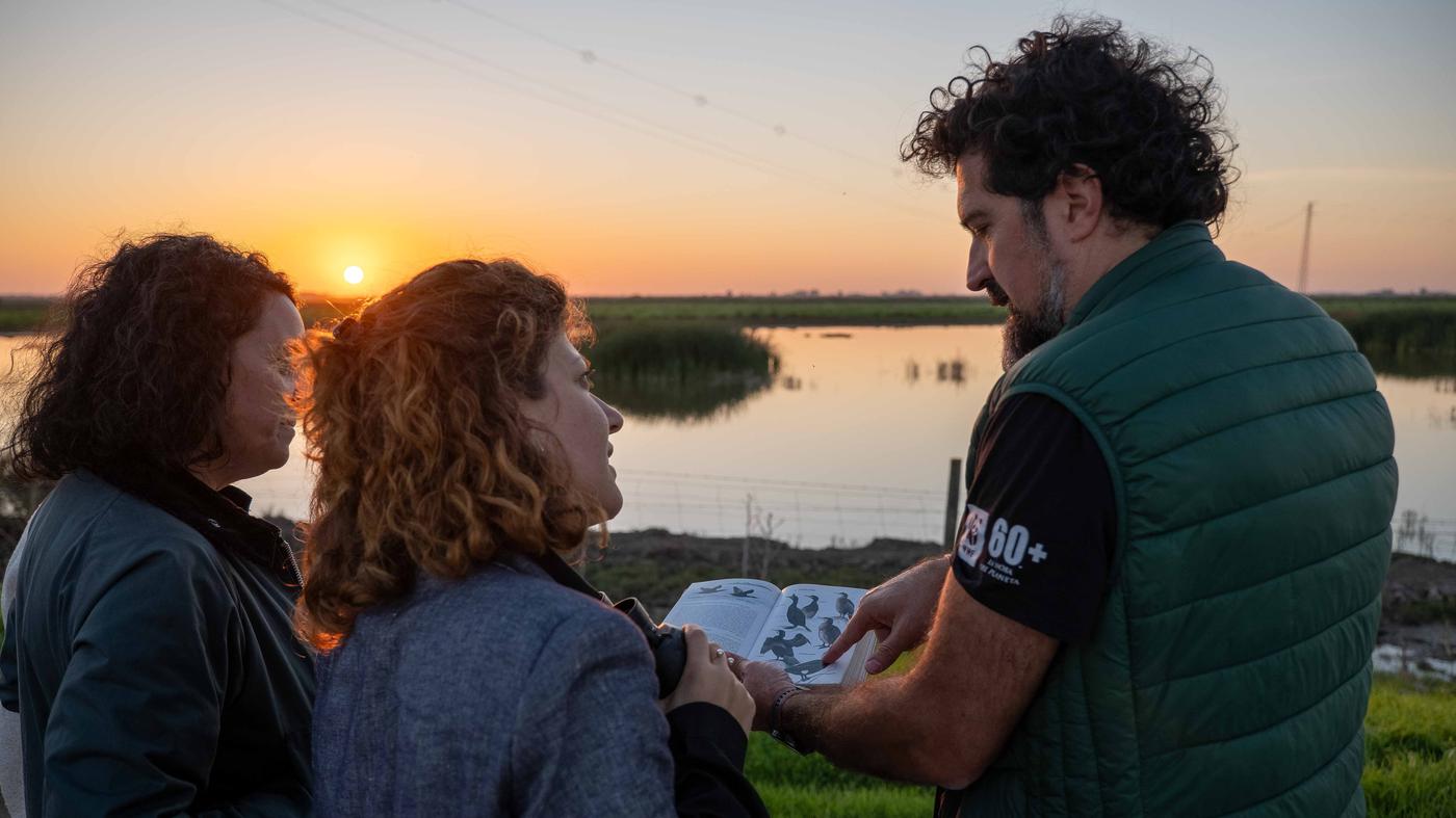 Doñana_Plan Allen en Brazo del Este