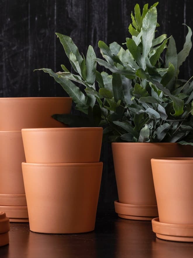 Doniczki do wewnątrz