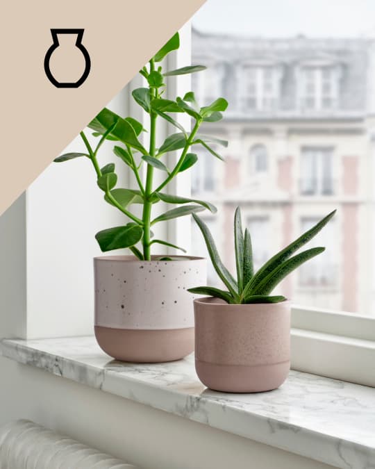 Dos materas rosa con plantas pequeñas en una ventana.