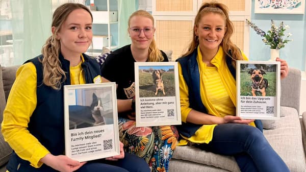 Drei Personen sitzen mit Bilderrahmen, in denen sich Fotos von zu vermittelnden Hunden und Katzen befinden, auf einem Sofa und lächeln freundlich. Die Umgebung ist ein frühlingshaft, dekoriertes Wohnzimmer.