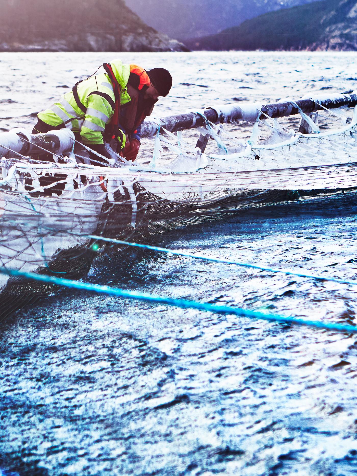 Dua orang pekerja ladang ternak ikan salmon memakai pakaian luar rumah yang tebal sedang menguruskan kandang ikan di ladang ternak ikan salmon Norway.