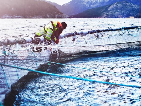 Dua orang pekerja ladang ternak ikan salmon memakai pakaian luar rumah yang tebal sedang menguruskan kandang ikan di ladang ternak ikan salmon Norway.