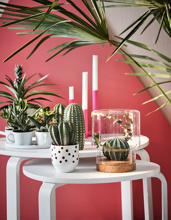 Dúas mesas auxiliares brancas cubertas de plantas en soportes e cuncas de café, un tarro de cristal do revés e candeas.