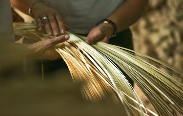 Dúas persoas sostendo tiras de bambú cru.
