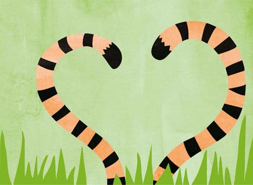 Due code di tigre che spuntano dall'erba - IKEA