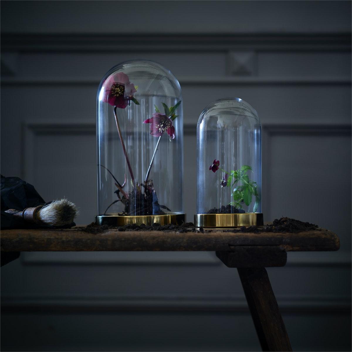 Due cupole a vetri con basi in oro pieni di fiori su una panchina in una stanza buia.