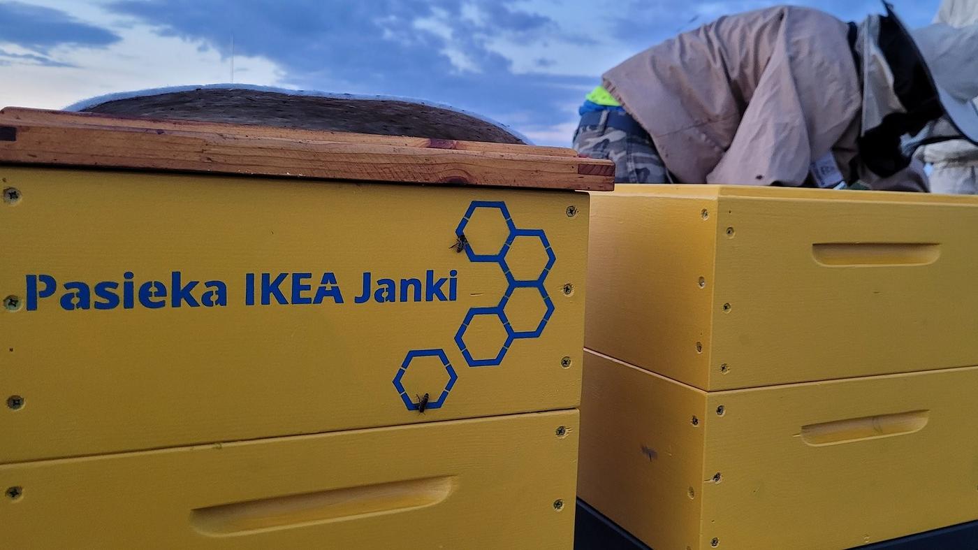 Dwa żółte ule. Na jednym, tym bliżej, napis "Pasieka IKEA Janki".