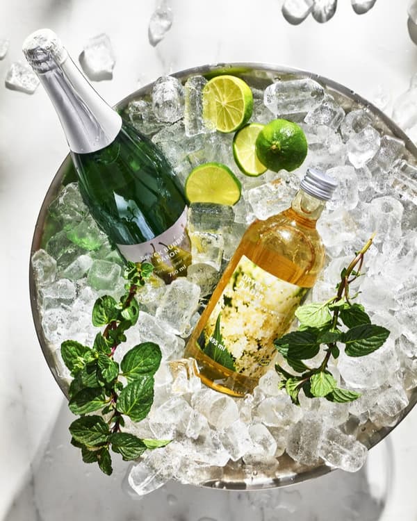 Dwie butelki lezące w lodzie