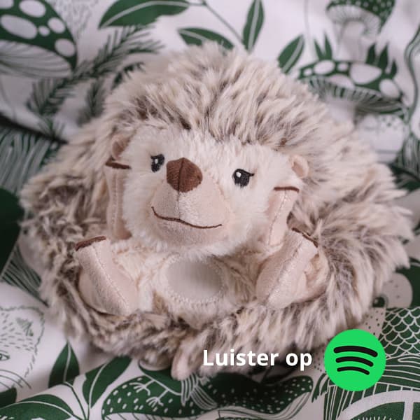 Een foto van een egel knuffel