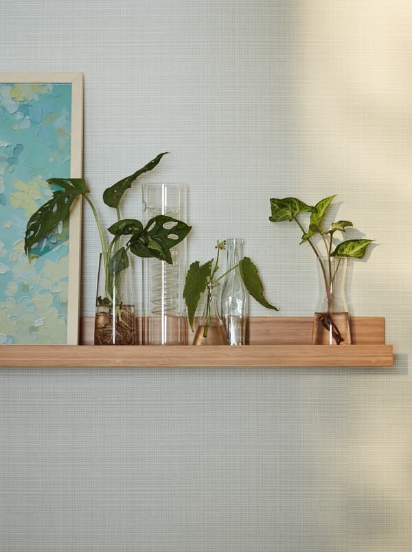 Een houten MÅLERÅS schilderijenplank met drie eigentijdse vazen en een IKEA PS vaas met stekjes van planten.