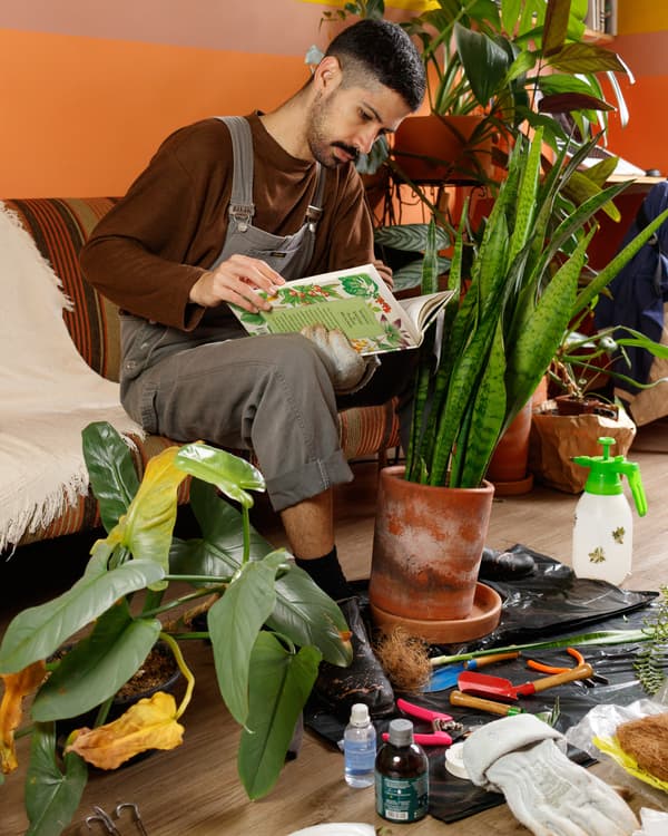 Een man zit op de bank voor een oranje muur en leest een boek met op de grond een sansevieria in een terracotta pot 