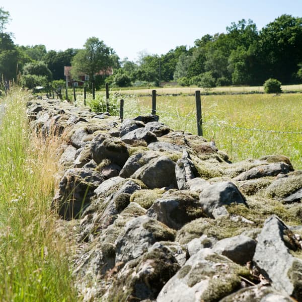 Een stenen muur die grenst aan twee velden in Älmhult, Zweden, de geboorteplaats van IKEA